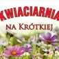 Kwiaciarnia na Krótkiej